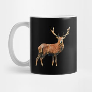 Deer - Woodland Themed Kids Room, Funny Gifts For Forester, Cute Animals Mug